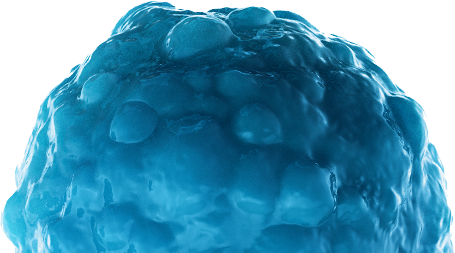 bacteria
