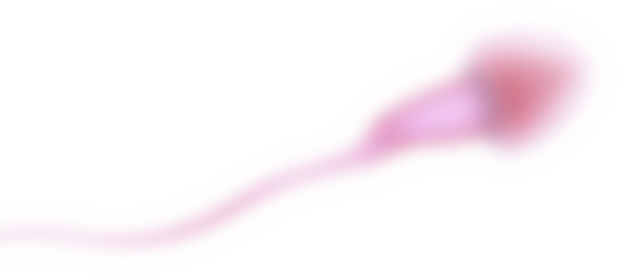 pink-sperm