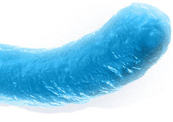 flat-bacteria