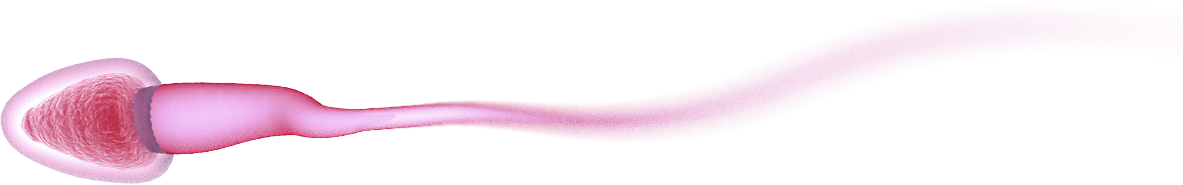 pink-sperm