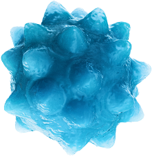 virus