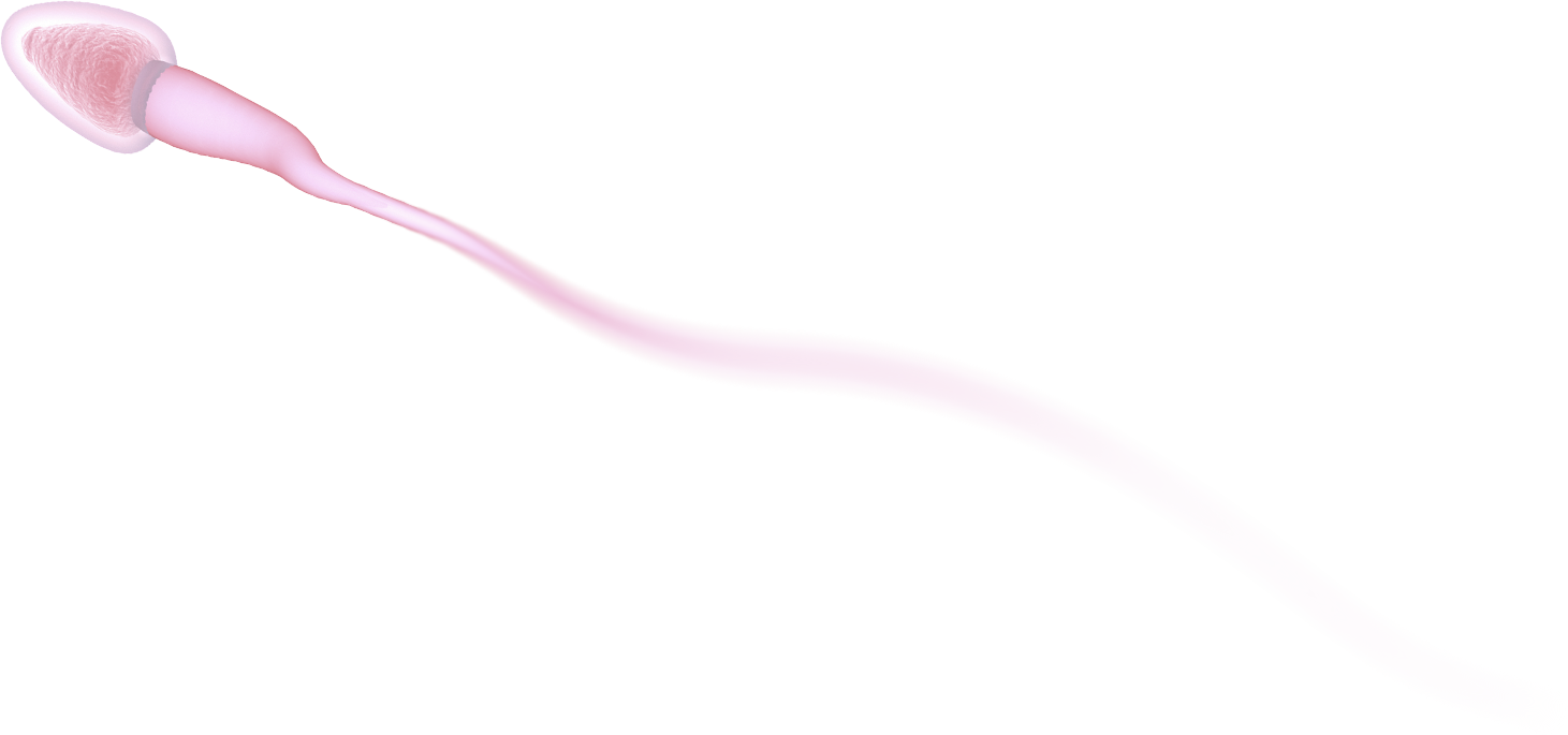 after-main-sperm