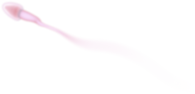 sperm-blurred