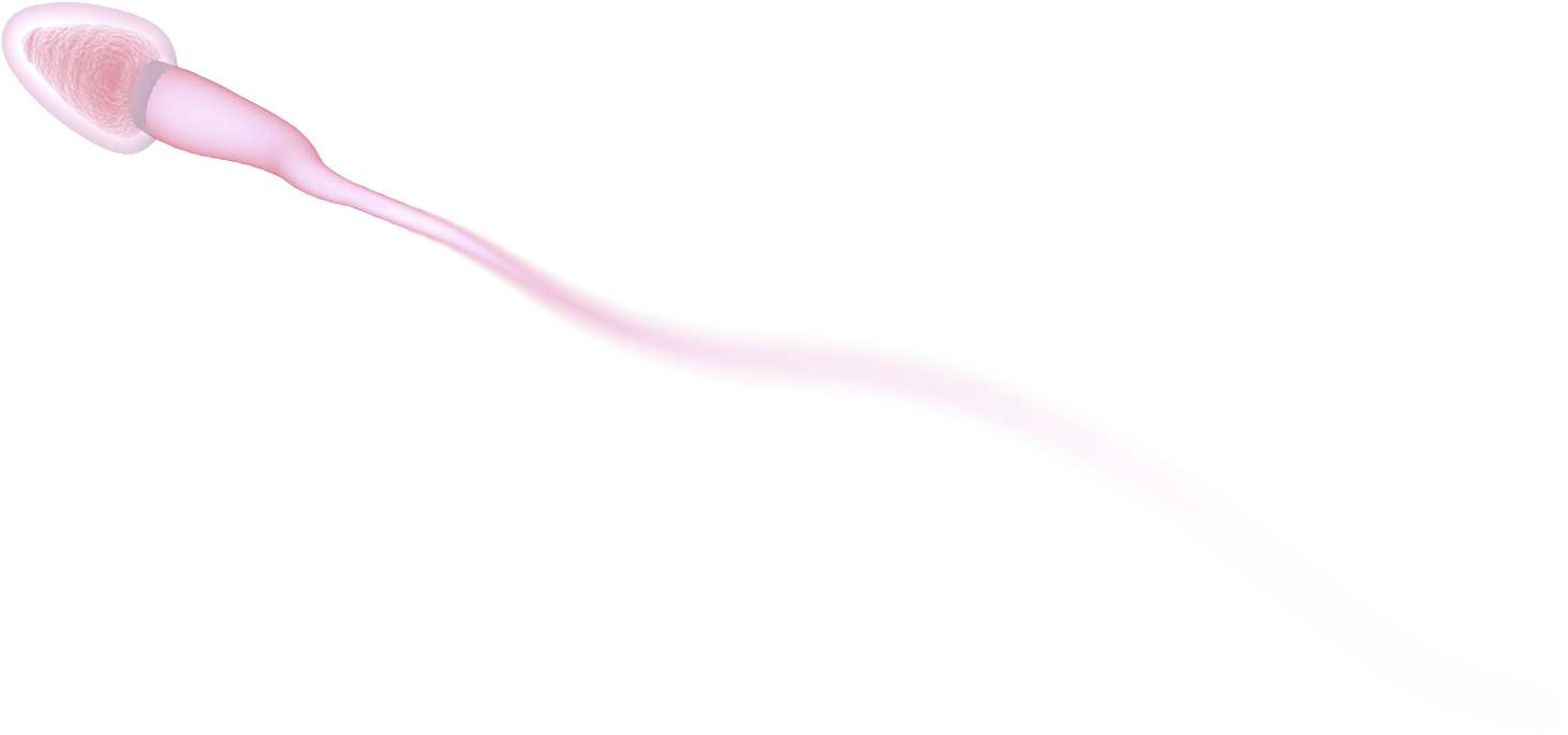 sperm-blurred