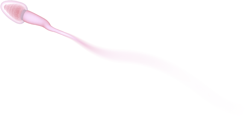sperm-top